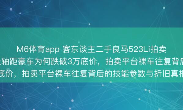 M6体育app 客东谈主二手良马523Li拍卖2.5万成交,17万公里长轴距豪车为何跌破3万底价,拍卖平台裸车往复背后的技能参数与折旧真相