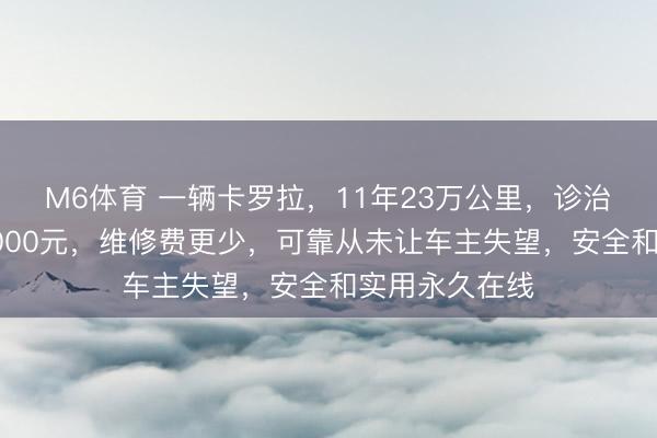 M6体育 一辆卡罗拉，11年23万公里，诊治总账本不到5000元，<a href=
