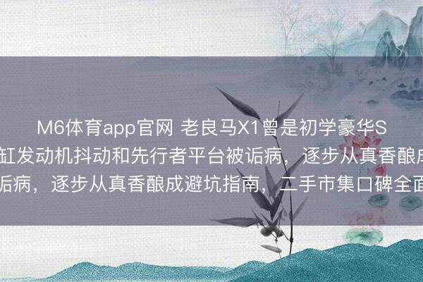 M6体育app官网 老良马X1曾是初学豪华SUV的梦念念之选，因三缸发动机抖动和先行者平台被诟病，逐步从真香酿成避坑指南，二手市集口碑全面坍塌