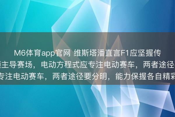 M6体育app官网 维斯塔潘直言F1应坚握传统能源，隔断让电板本领主导赛场，电动方程式应专注电动赛车，两者途径要分明，能力保握各自精彩