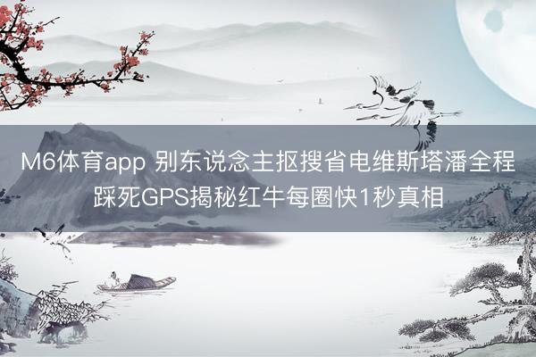 M6体育app 别东说念主抠搜省电维斯塔潘全程踩死GPS揭秘红牛每圈快1秒真相