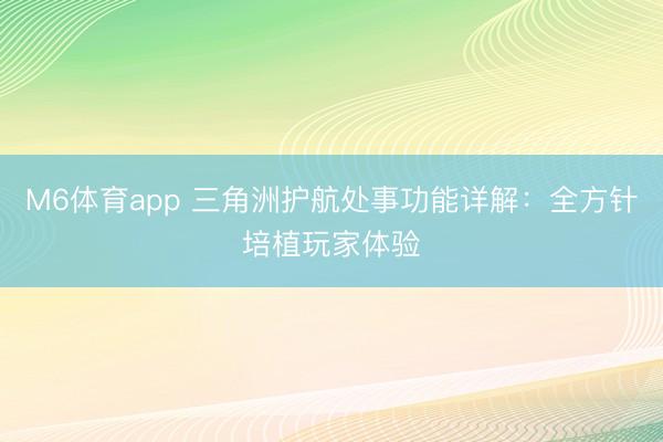 M6体育app 三角洲护航处事功能详解：全方针培植玩家体验