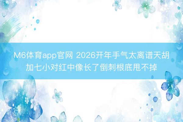 M6体育app官网 2026开年手气太离谱天胡加七小对红中像长了倒刺根底甩不掉