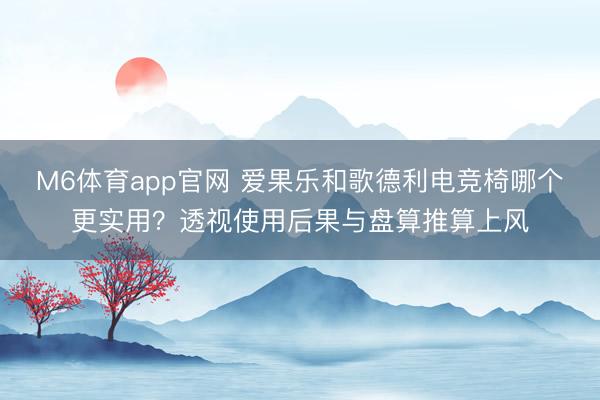 M6体育app官网 爱果乐和歌德利电竞椅哪个更实用？透视使用后果与盘算推算上风