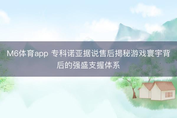M6体育app 专科诺亚据说售后揭秘游戏寰宇背后的强盛支握体系