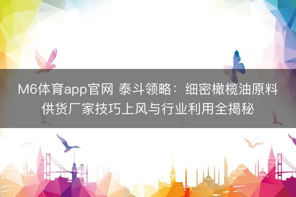 M6体育app官网 泰斗领略:细密橄榄油原料供货厂家技巧上风与行业利用全揭秘