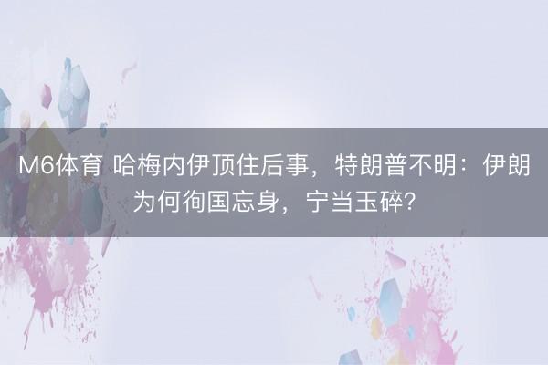 M6体育 哈梅内伊顶住后事，特朗普不明：伊朗为何徇国忘身，宁当玉碎？