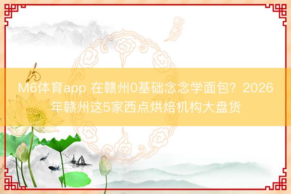 M6体育app 在赣州0基础念念学面包？2026年赣州这5家西点烘焙机构大盘货